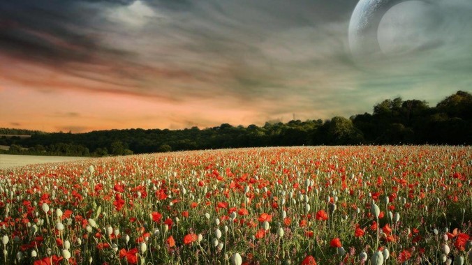 老板说我设计了一周的海报还是不行，我到底该怎么学啊？